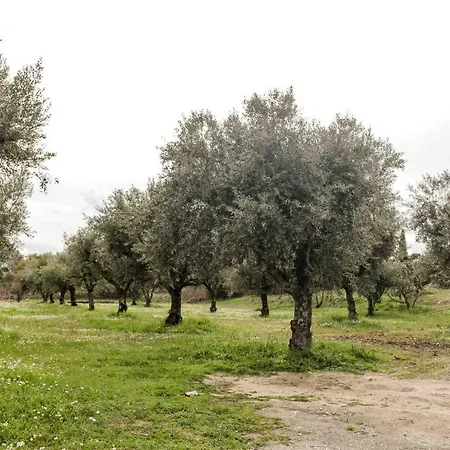 Quinta Chao Do Nabal Kır Evi